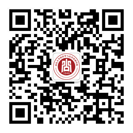 黄色网站